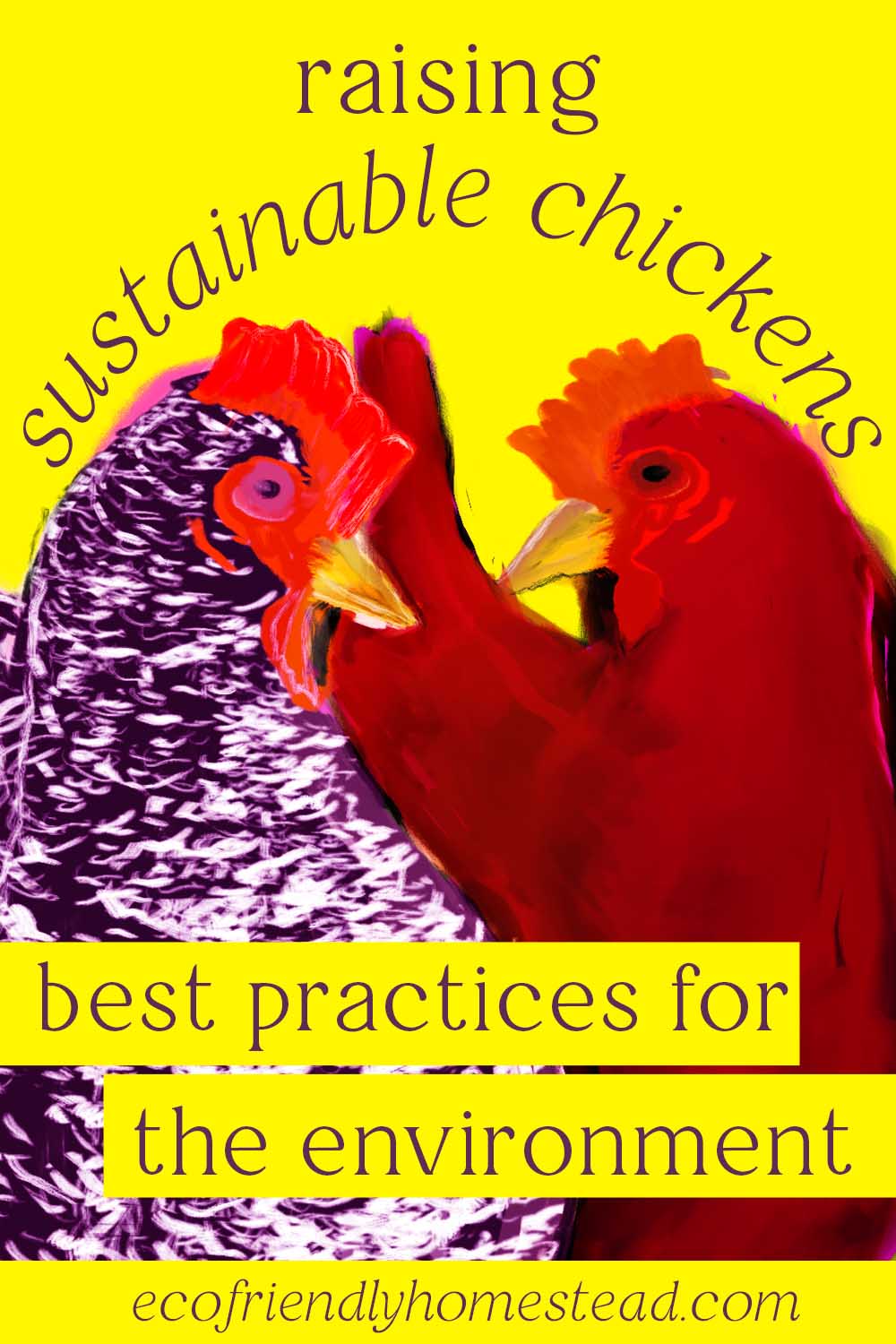 Raising chickens (the sustainable way)